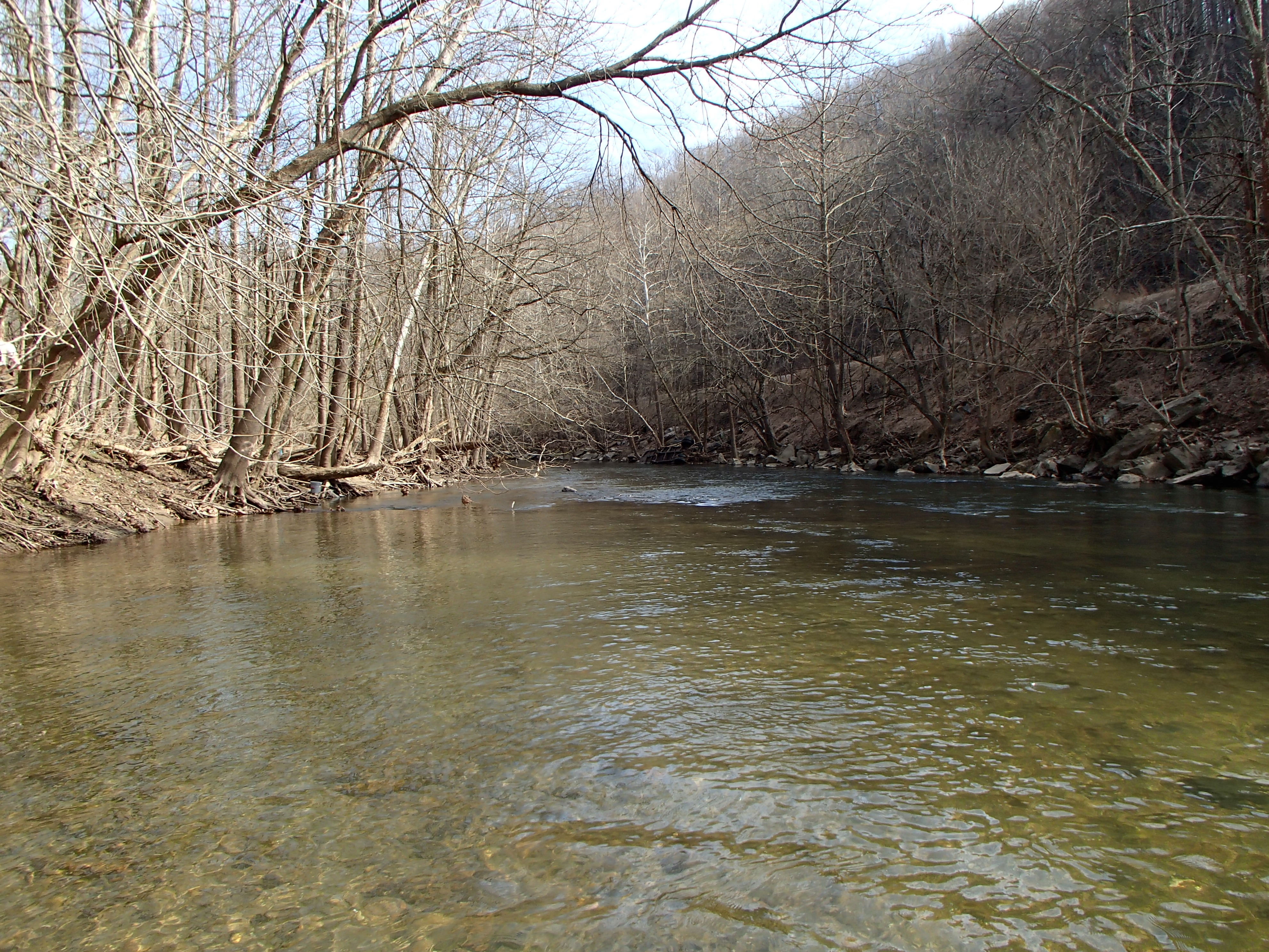 Field photo showing stream conditions at site PATL-517-X-2016_midpoint looking downstream